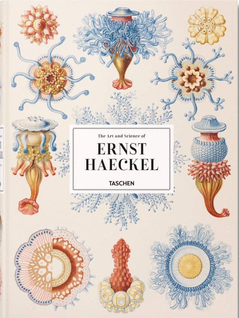 The Art and Science of Ernst Haeckel