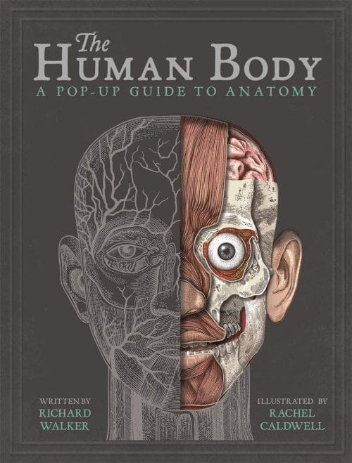 Human Body by Richard Walker